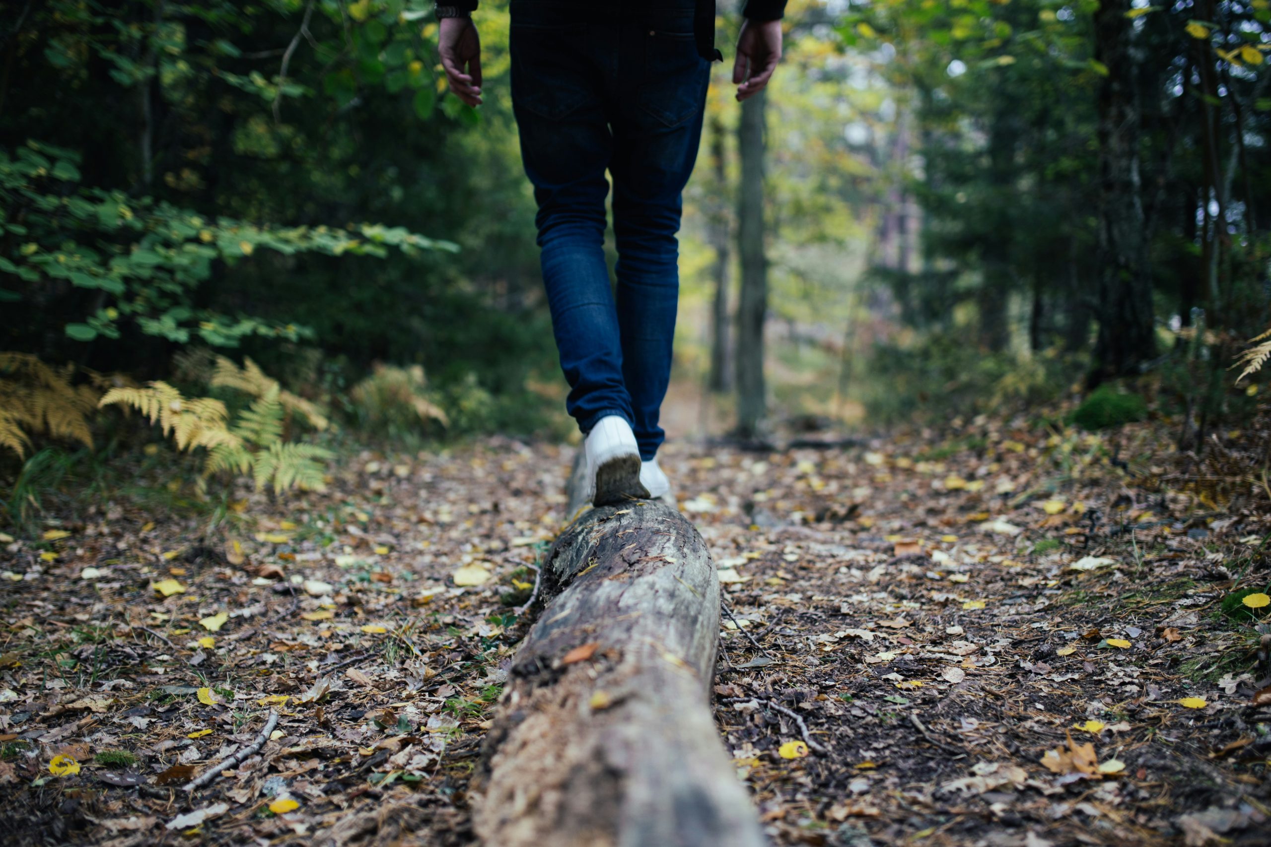 nature walk